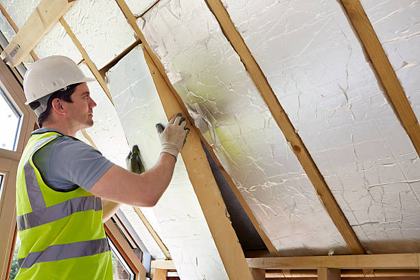 Best Home Insulation Services  in Enosburg Falls, VT